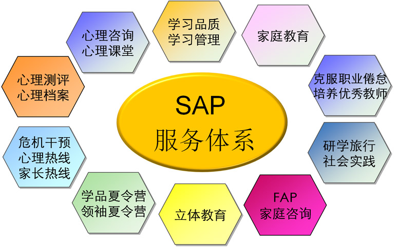 校园心理服务体系（SAP）(图2)